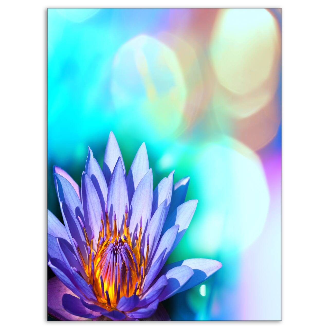 Designart - Blossoming Purple Lotus Flower - Floral Art Canvas Print